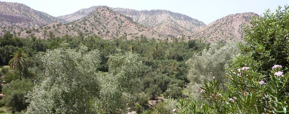 Palais Villa Talaa Resort Taroudant Dış mekan fotoğraf